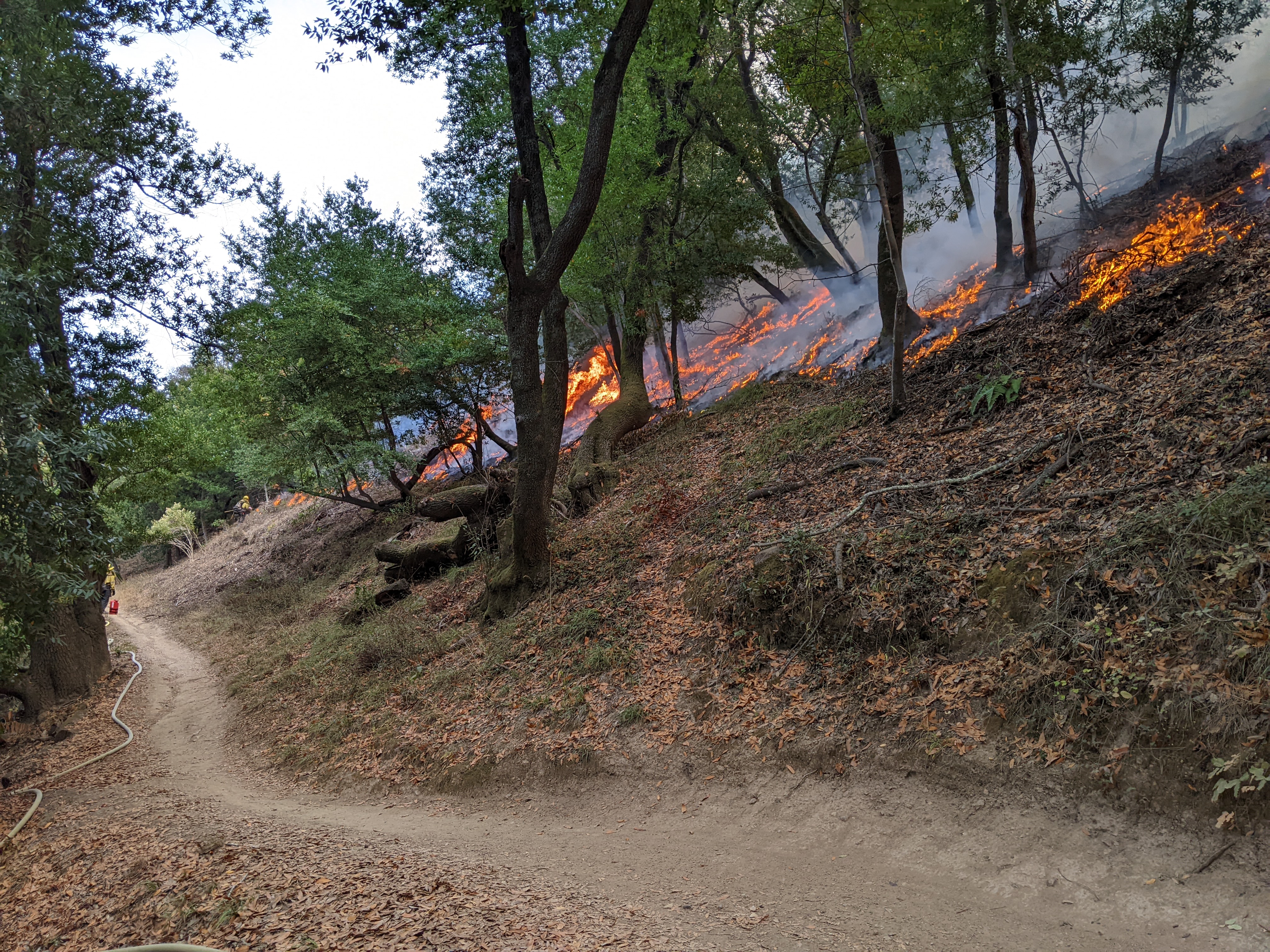 2023 Prescribed Broadcast Burn